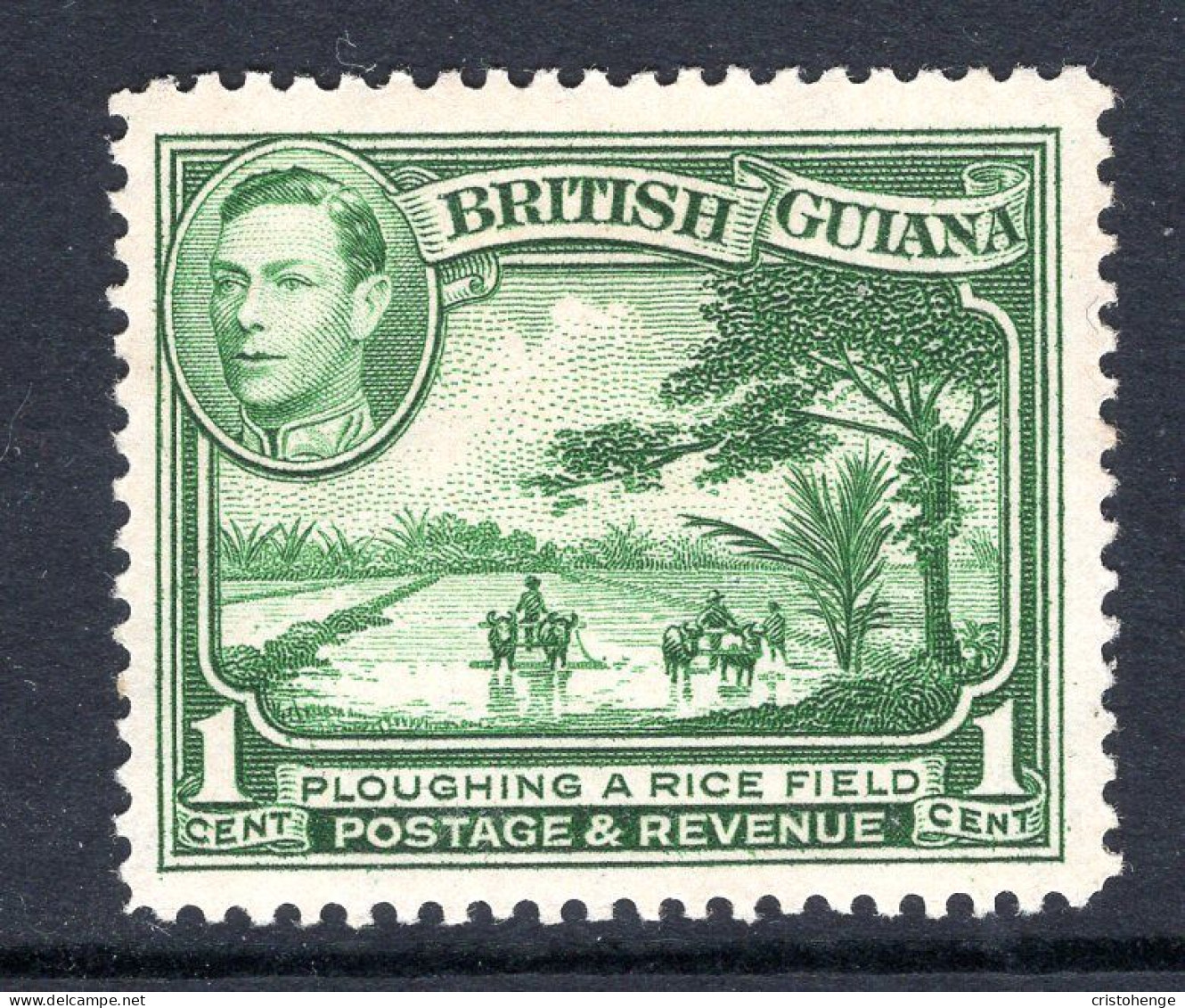 British Guiana 1938-52 KGVI Pictorials - 1c Ploughing A Rice Field - P.12½ - Green HM (SG 308a) - Brits-Guiana (...-1966)