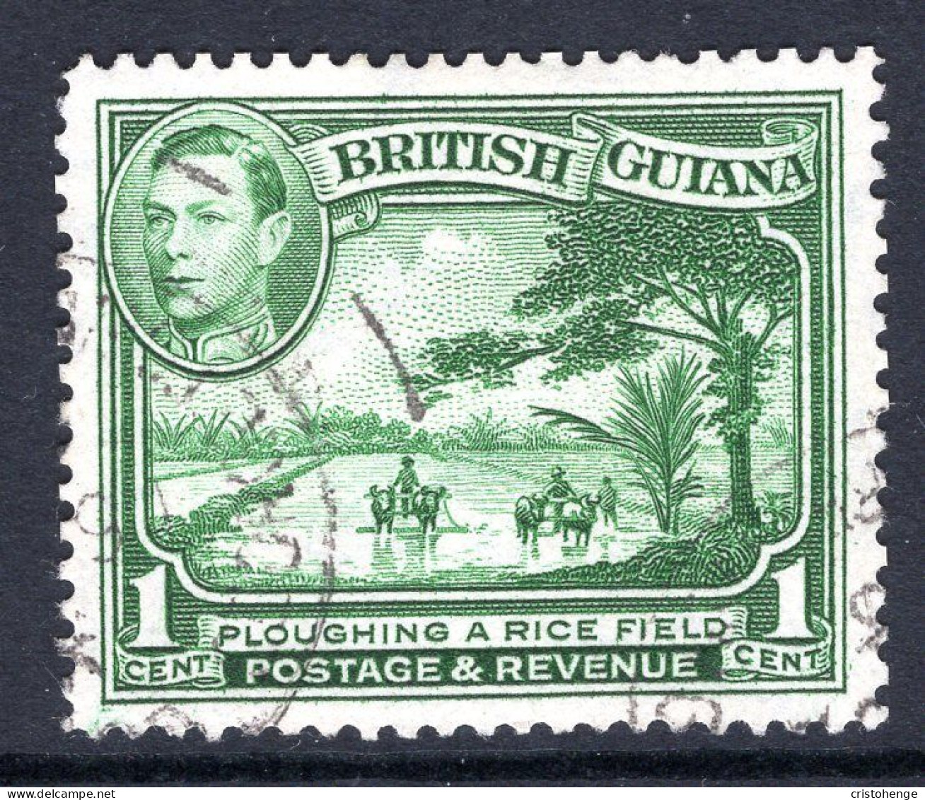 British Guiana 1938-52 KGVI Pictorials - 1c Ploughing A Rice Field - P.12½ - Green Used (SG 308a) - Britisch-Guayana (...-1966)