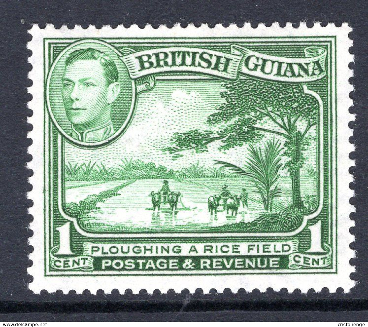 British Guiana 1938-52 KGVI Pictorials - 1c Ploughing A Rice Field - P.14 X 13 HM (SG 308b) - Guyane Britannique (...-1966)