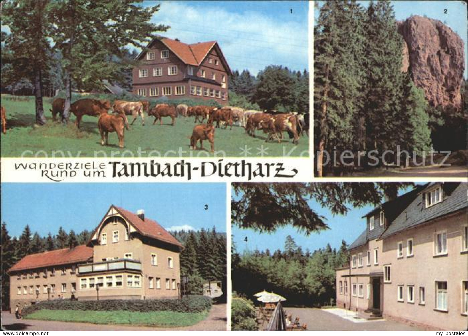 72261054 Dietharz Tambach Berghotel Ebertswiese Falkenstein Rodebachmuehle HOG W - Tambach-Dietharz