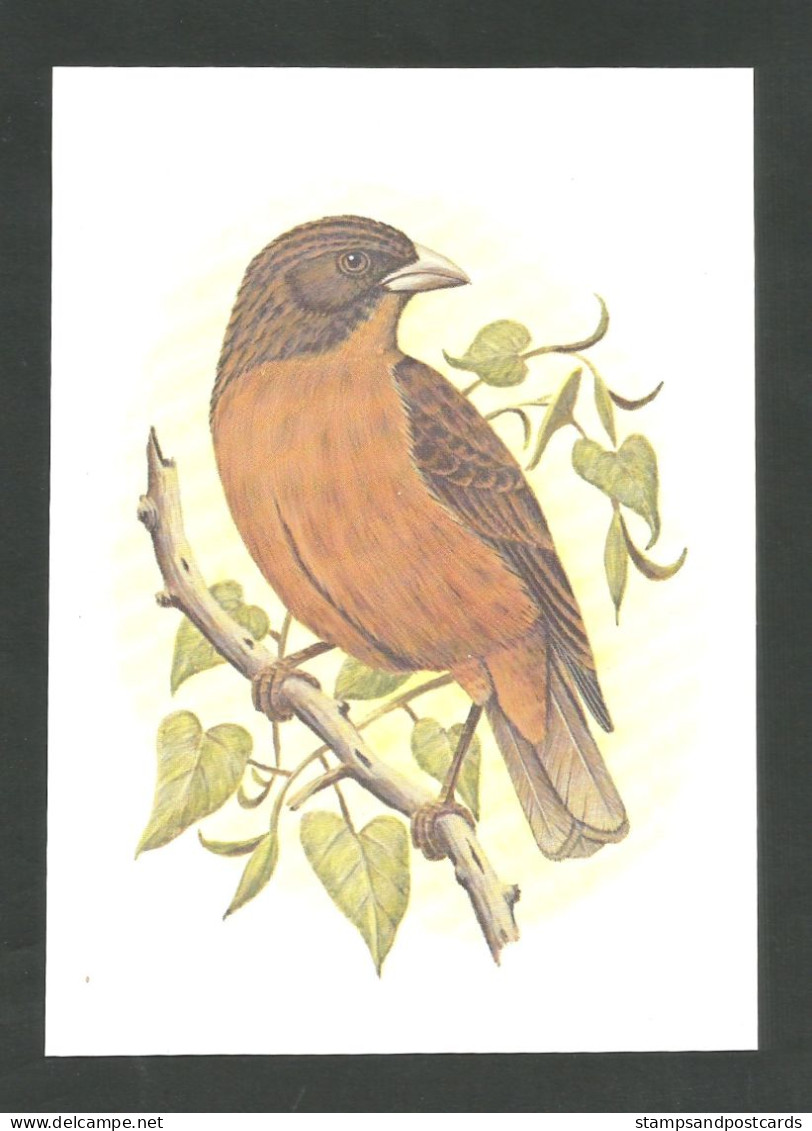 Oiseau Serin Roux Entier Postal Sao Tome Et Principe 1979 Bird Príncipe Seedeater Stationery St Thomas & Principe - Columbiformes