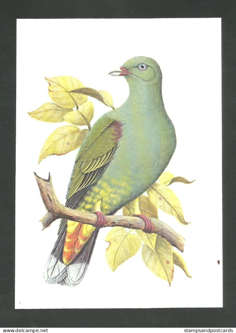Oiseau Colombe Colombar De Sao Tomé  Entier Postal Sao Tome Et Principe 1979  Bird Green Pigeon Stationery St Thomas - Columbiformes