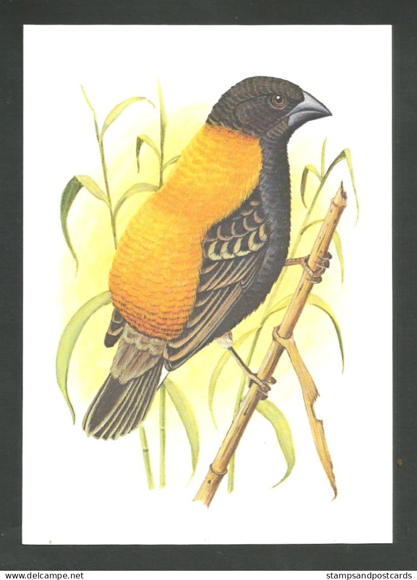 Oiseau Euplecte Doré Entier Postal Sao Tome Et Principe 1979  Bird  Golden-backed Bishop Stationery St Thomas - Zangvogels