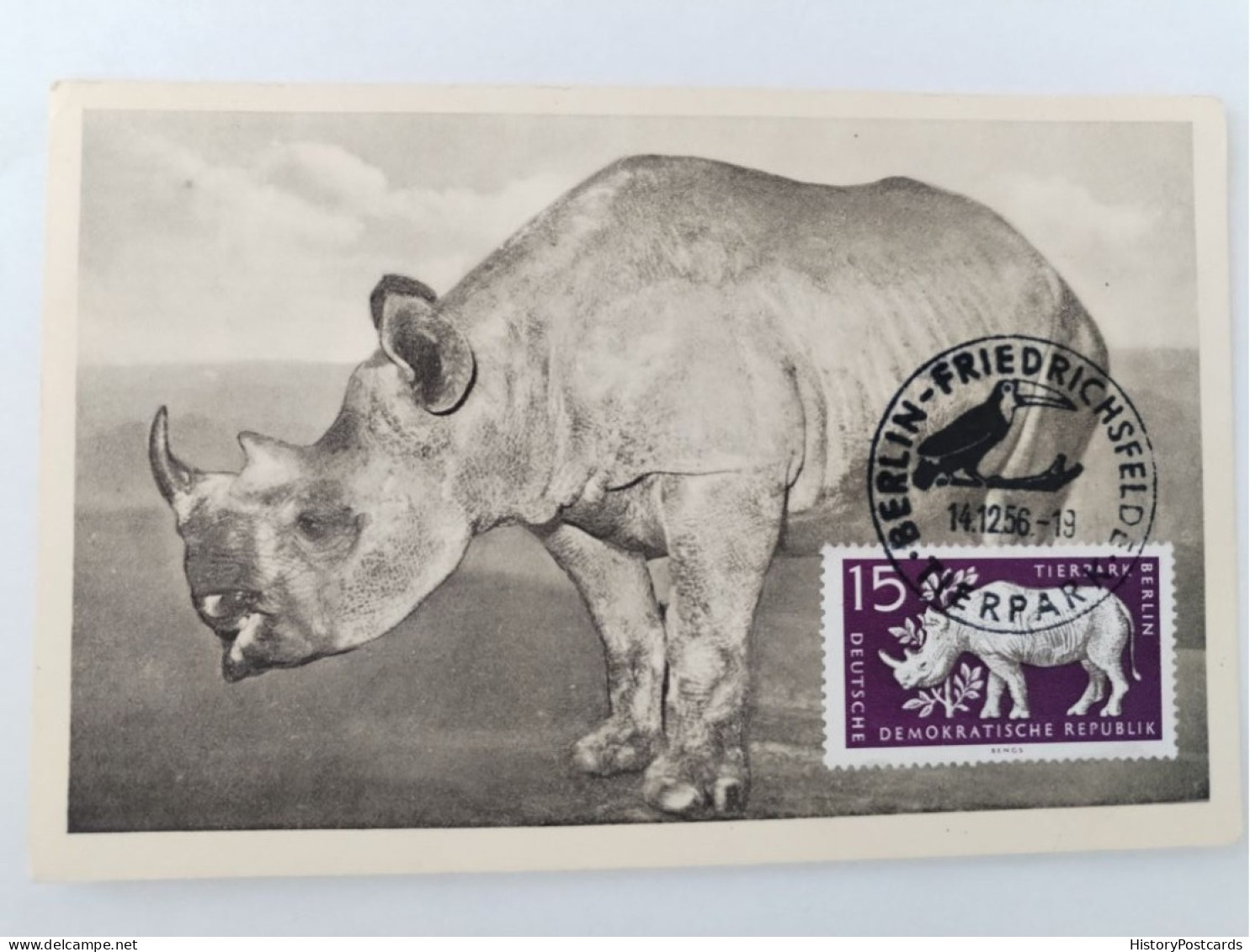 Tierpark Berlin-Friedrichfelde, Nashorn, Sondermarke, Sonderstempel, DDR, 1956 - Hohenschönhausen