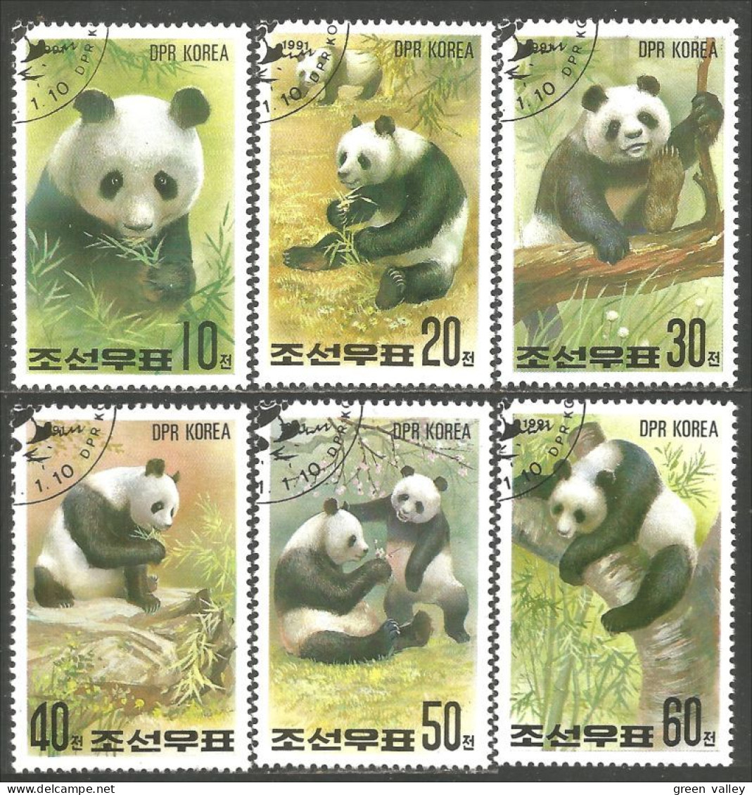 548 Korea Ours Bear Bar Panda Orso Oso (KON-129) - Bären