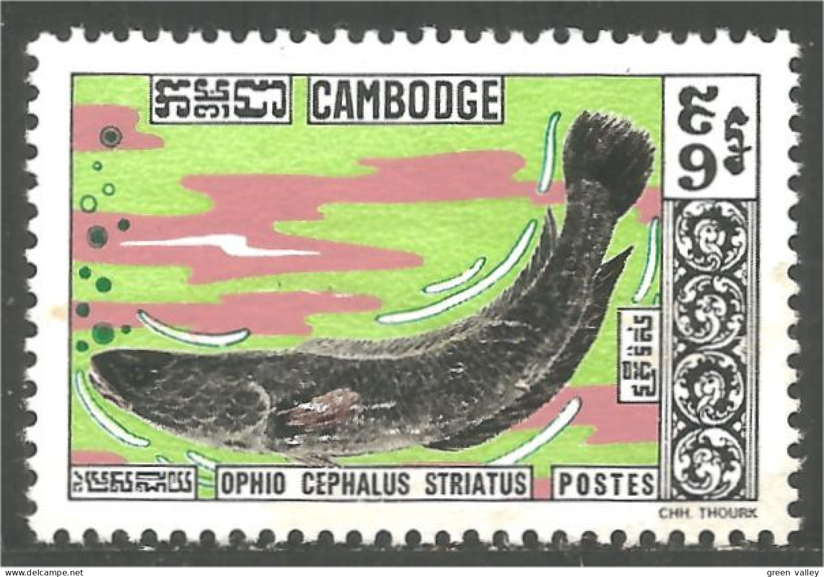 534 Cambodge Snakehead Fish Poisson Serpent No Gum (KAM-299) - Cambodia