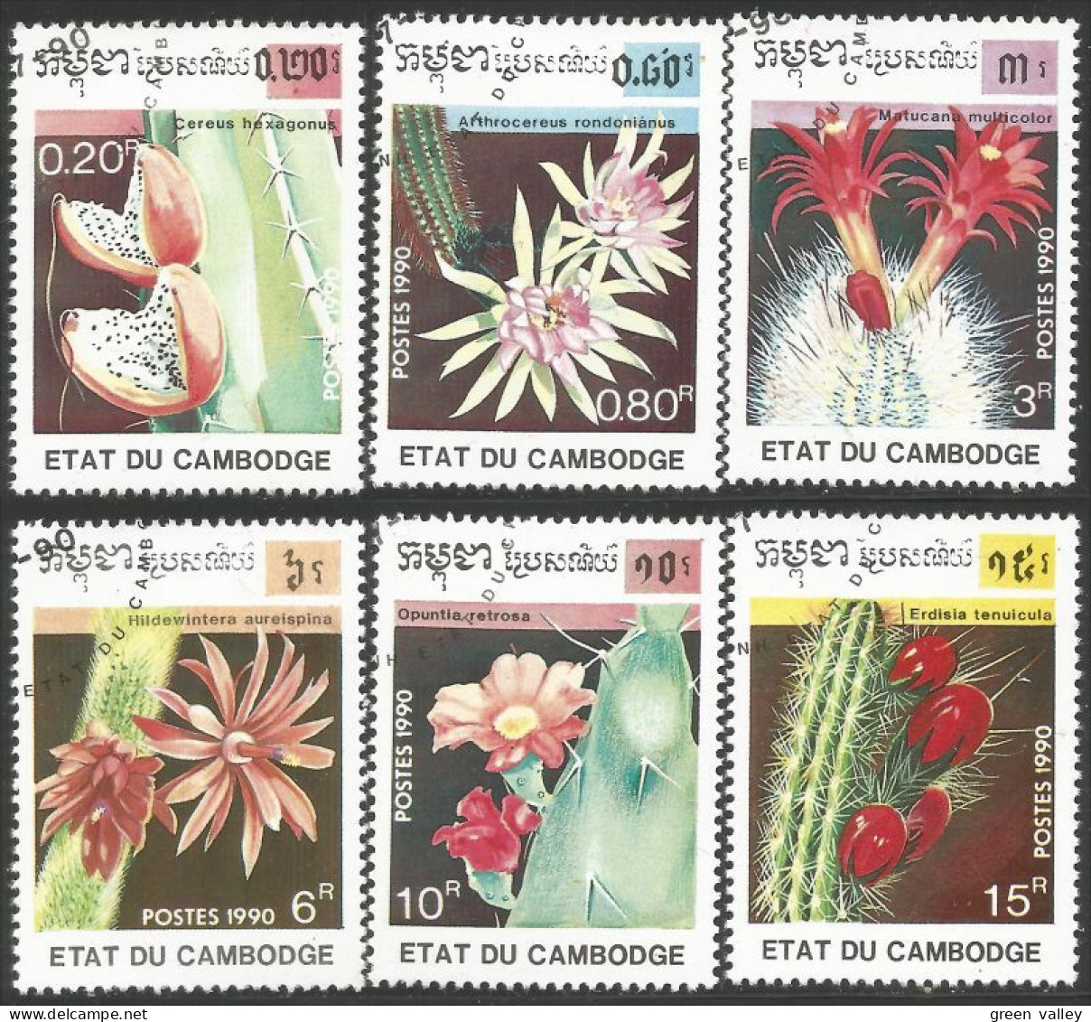 534 Cambodge Fleurs Cactus Cactii Flowers (KAM-266) - Cactussen