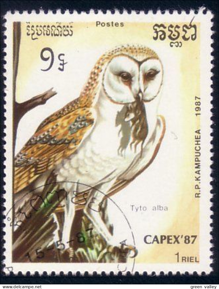 534 Cambodge Hibou Chouette Owl Eule (KAM-175) - Owls