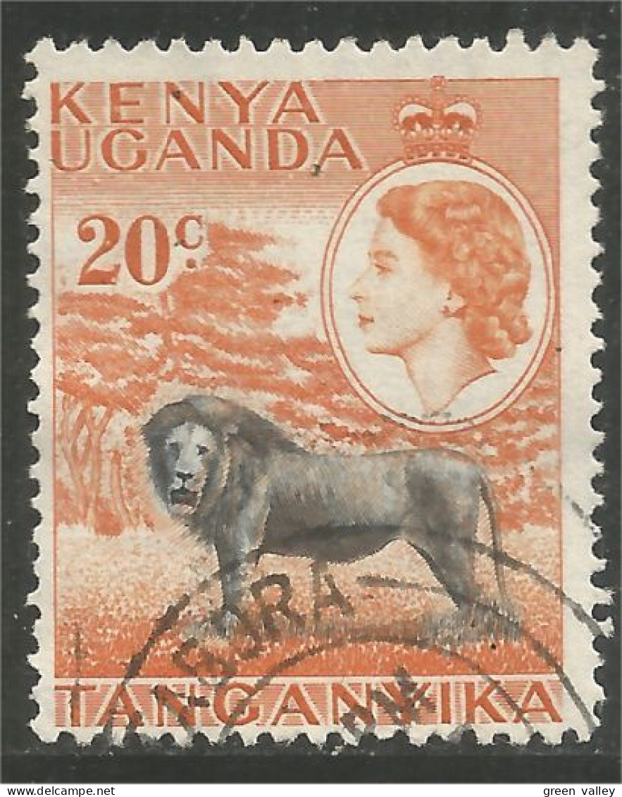 554 Kenya Lion Lowe Leone (KUT-55b) - Kenya, Uganda & Tanganyika