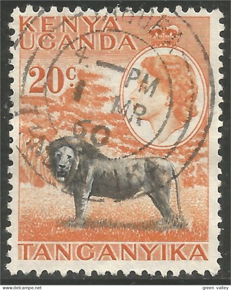 554 Kenya Lion Lowe Leone (KUT-55a) - Kenya, Ouganda & Tanganyika