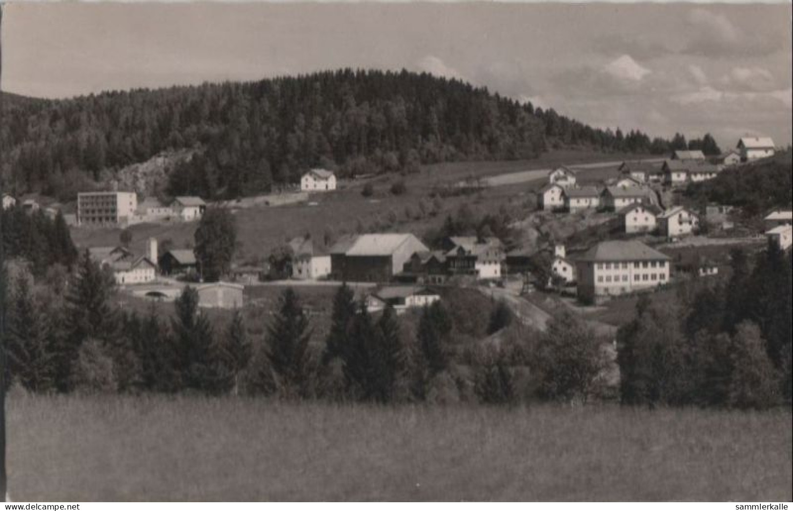 38252 - Bischofsmais-Hochbruck - Pension Talblick - 1965 - Regen