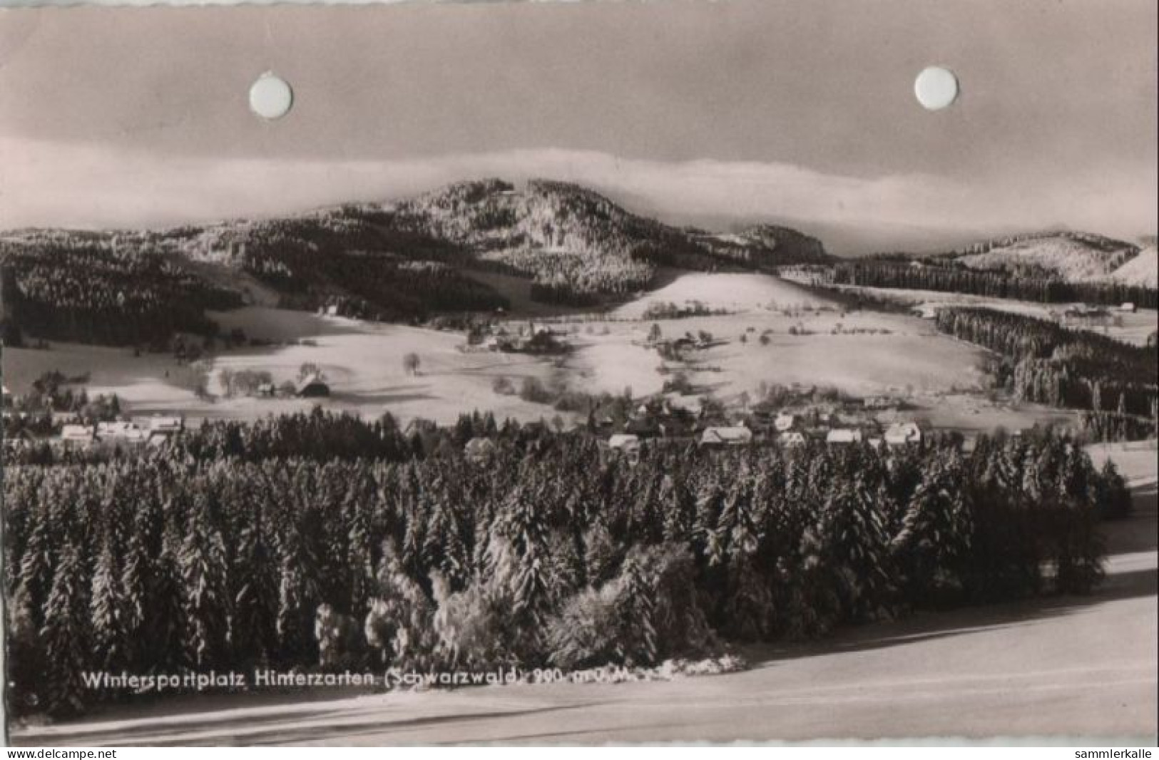 57275 - Hinterzarten - Wintersportplatz - 1960 - Hinterzarten