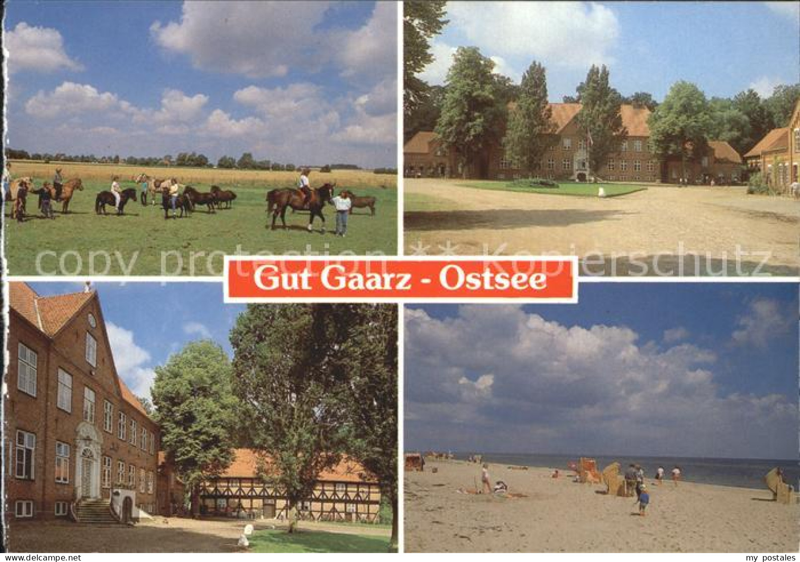 72257184 Oldenburg Holstein Gut Gaarz Pferde Strand Oldenburg - Oldenburg (Holstein)