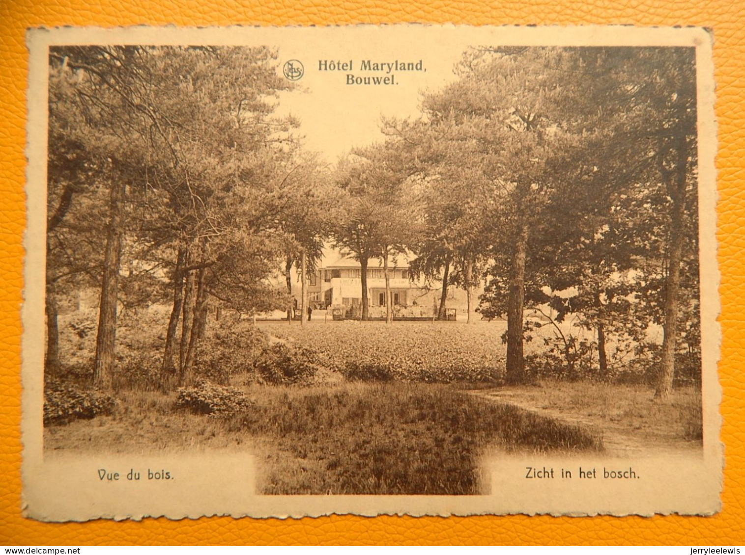 BOUWEL  -  Hotel Maryland  - Zicht In Het Bos - Grobbendonk