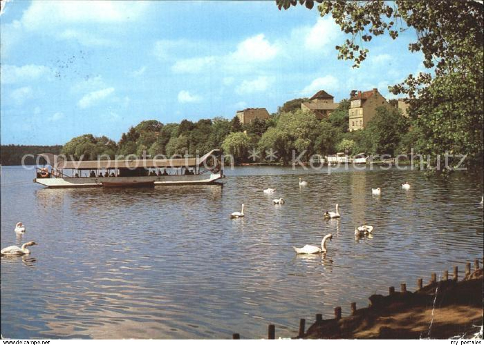 72255599 Strausberg Brandenburg Partie Am Straussee Boot Schwaene Strausberg - Strausberg