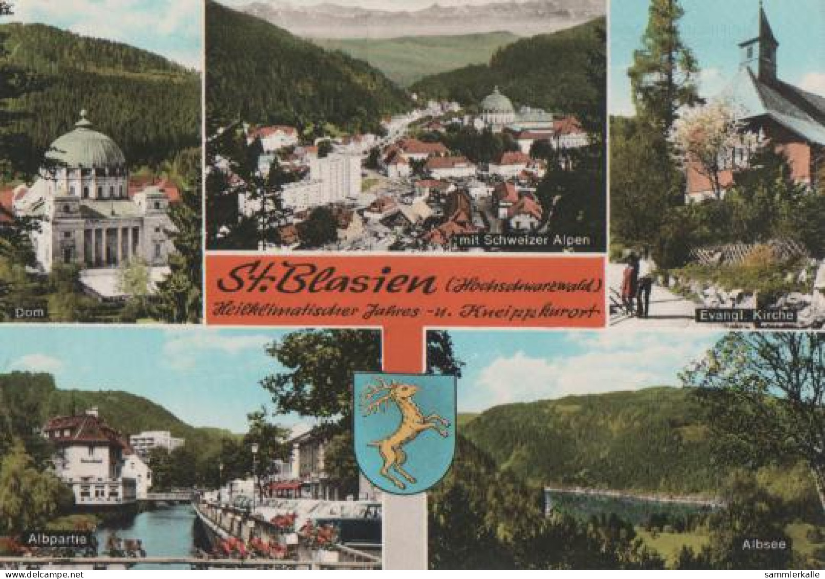 16542 - Sankt Blasien Hochschwarzwald - 1974 - St. Blasien