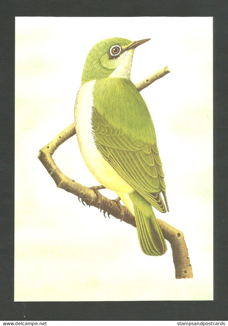 Oiseau Zosterops Ficedulinus Entier Postal Sao Tome Et Principe 1983 White-eye Bird Stationery St Thomas & Principe - Pájaros Cantores (Passeri)