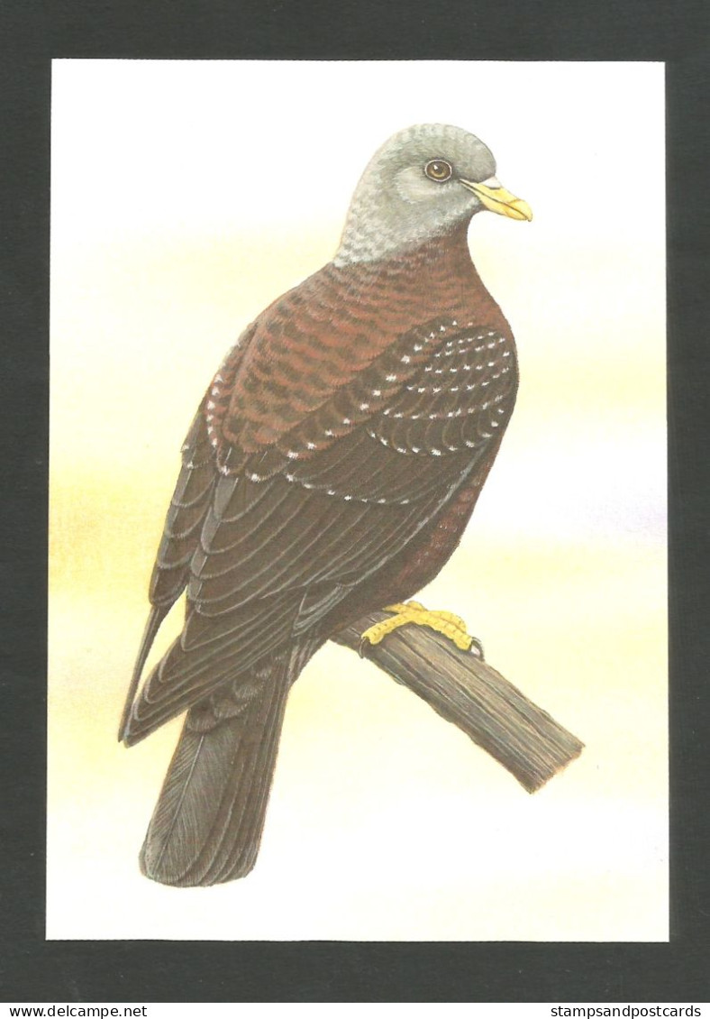 Oiseau Columba Thomensis Pigeon Entier Postal Sao Tome Et Principe 1983 Dove Bird Stationery St Thomas & Principe - Tauben & Flughühner