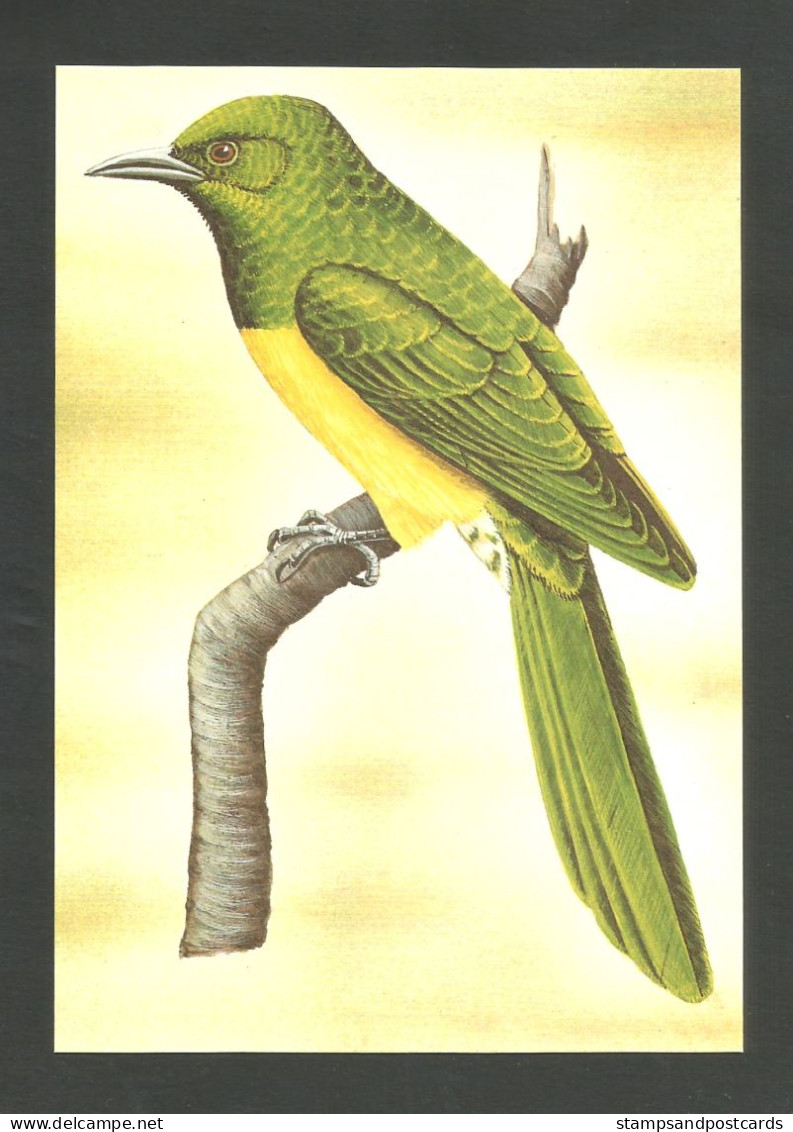 Oiseau Coucou Foliotocol Entier Postal Sao Tome Et Principe 1983 African Emerald Cuckoo Bird Stationery St Thomas - Cuculi, Turaco