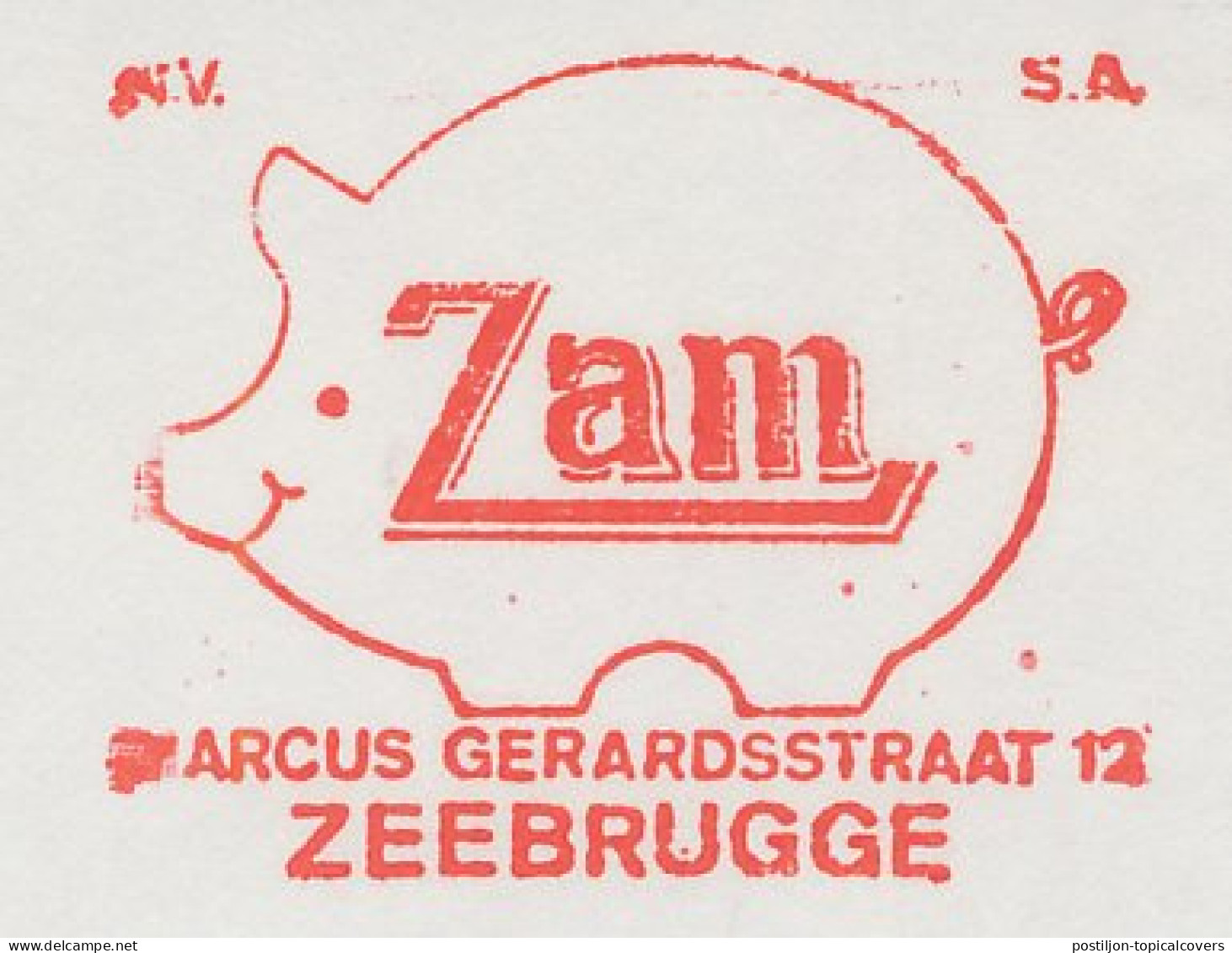 Meter Cut Belgium 1975 Pig - Farm