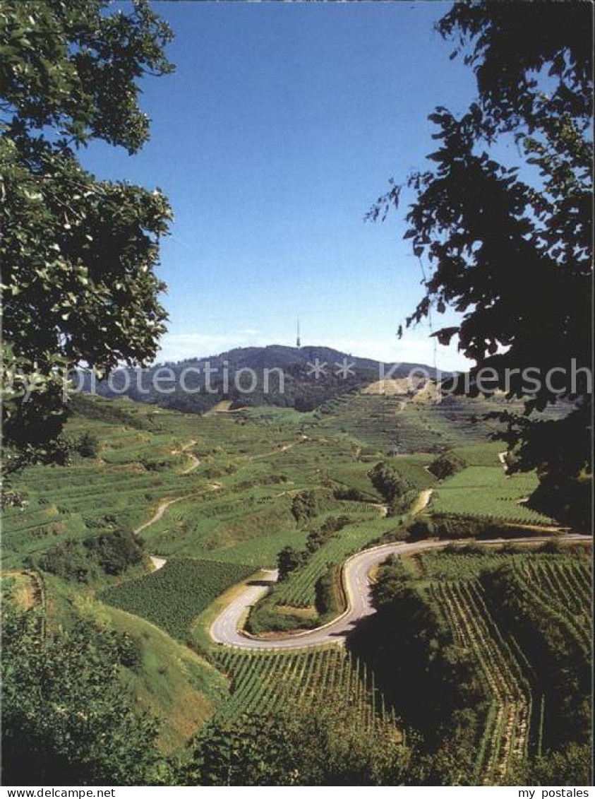 72254736 Kaiserstuhl Region Panorama Blick Zum Totenkopf Weinanbaugebiet Kaisers - Ihringen