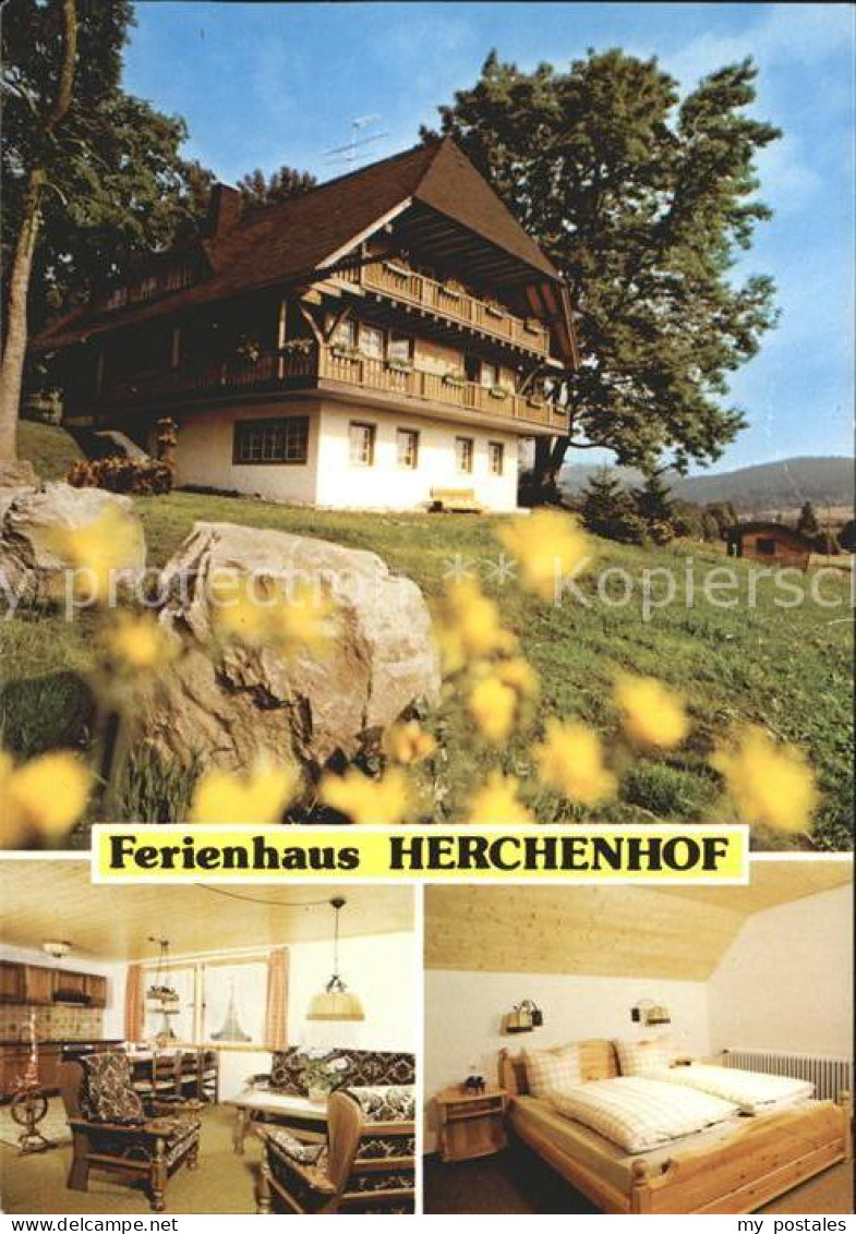 72254285 Hinterzarten Ferienhaus Herchenhof Schwarzwald Hinterzarten - Hinterzarten