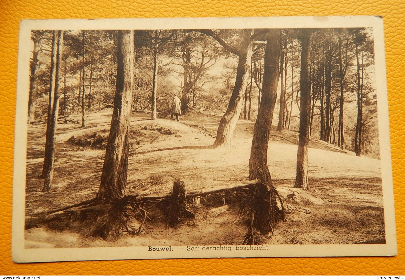 BOUWEL  -   Schilderachtig Boschzicht - Grobbendonk