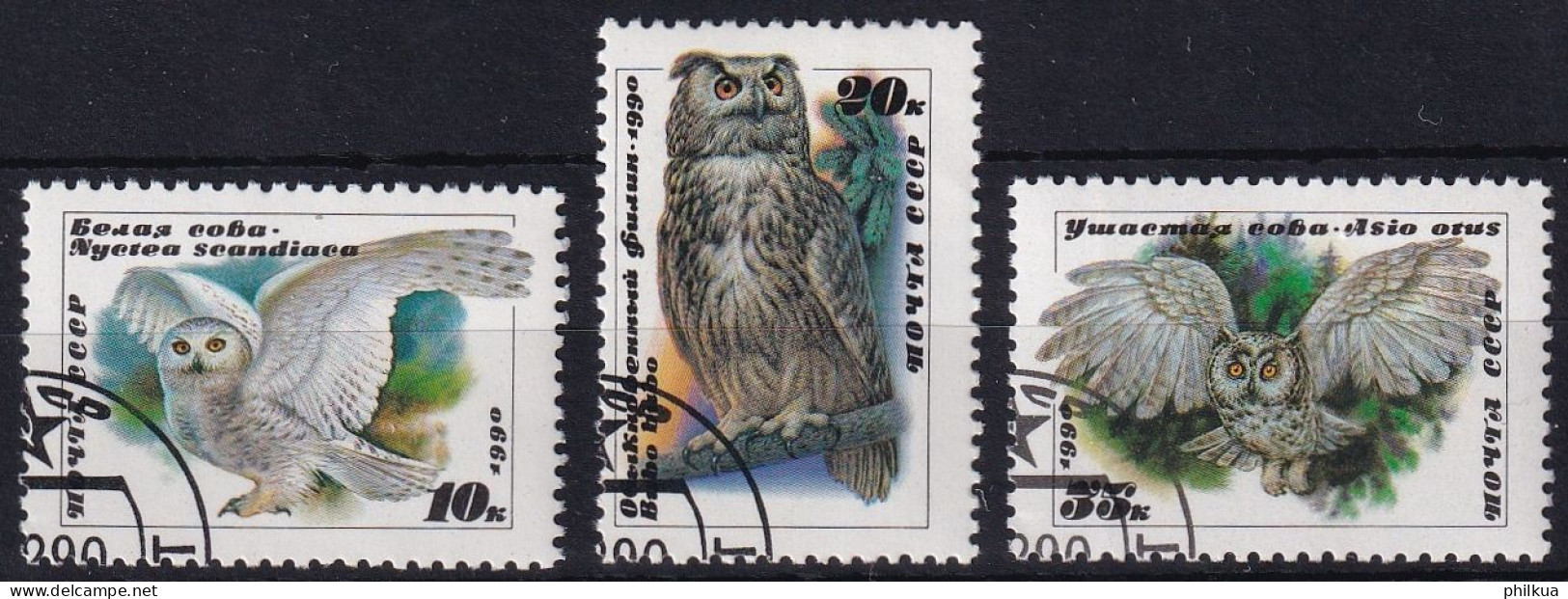 MiNr. 6063 - 6065 Sowjetunion 1990, 8. Febr. Eulen - Vögel - Owls