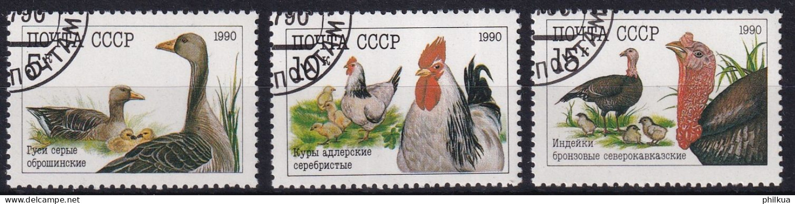 MiNr. 6102 - 6104 Sowjetunion 1990, 1. Juli. Geflügelzucht - Vögel - Galline & Gallinaceo