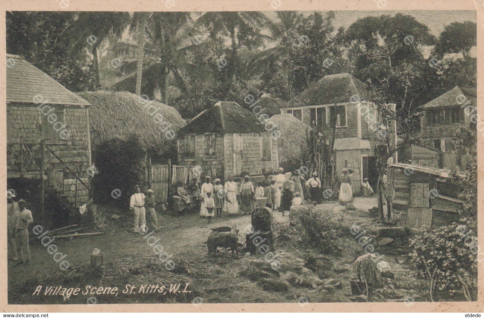 ST Kitts W.I. A Village Scene  Edit Moure Losada Basseterre - Saint Kitts And Nevis