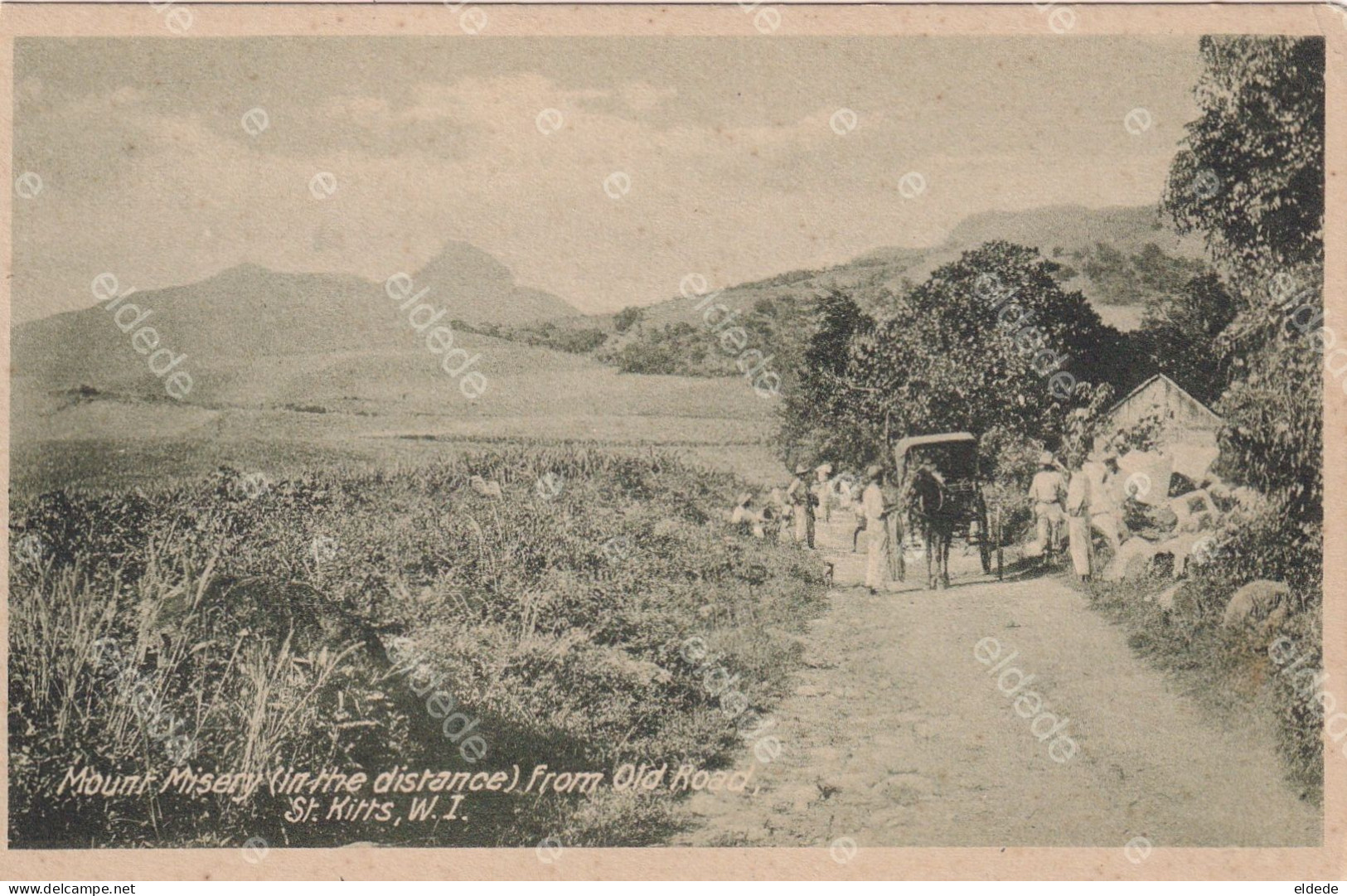 ST Kitts W.I. Mount Misery From Old Road   Edit Moure Losada Basseterre - St. Kitts Und Nevis