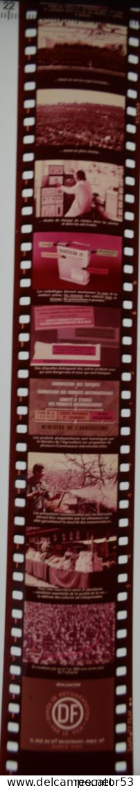 "un Autre Monde" Années 50 Film Fixe Scolaire La Protection Des Cultures Ou L'apologie Des Pesticides !!!! - Filme: 35mm - 16mm - 9,5+8+S8mm