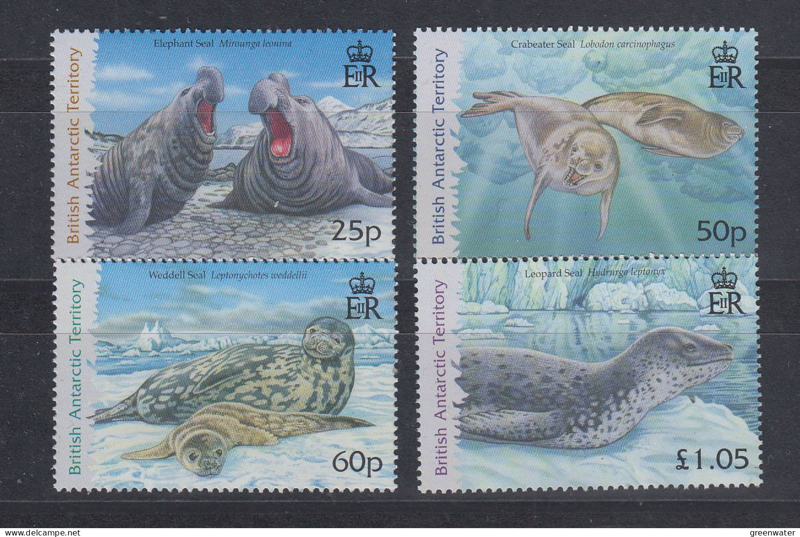 British Antarctic Territory (BAT) 2006 Seals 4v ** Mnh (ZO202) - Nuevos