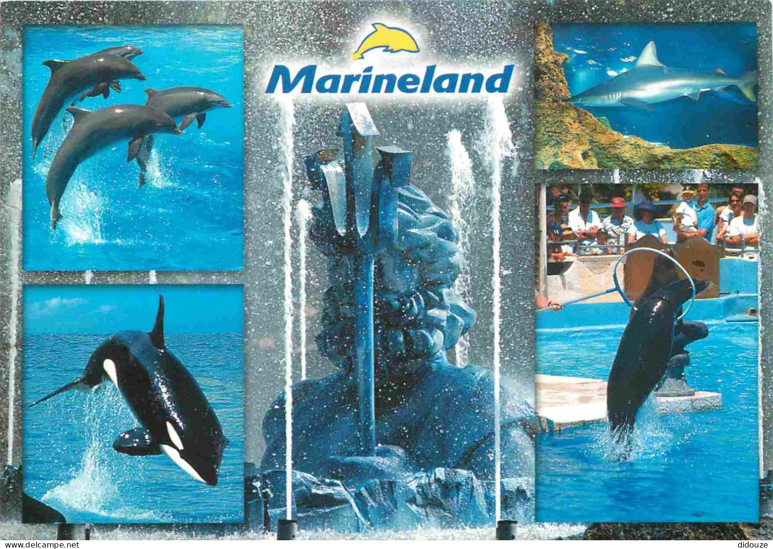 Animaux - Marineland Antibes - Multivues - Zoo Marin - CPM - Carte Neuve - Voir Scans Recto-Verso - Delphine