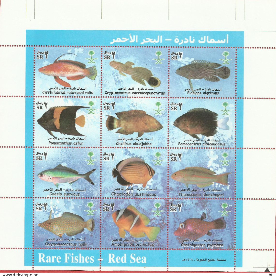 SAUDI ARAB - -Rare Fishes Red Sea - Arabie Saoudite