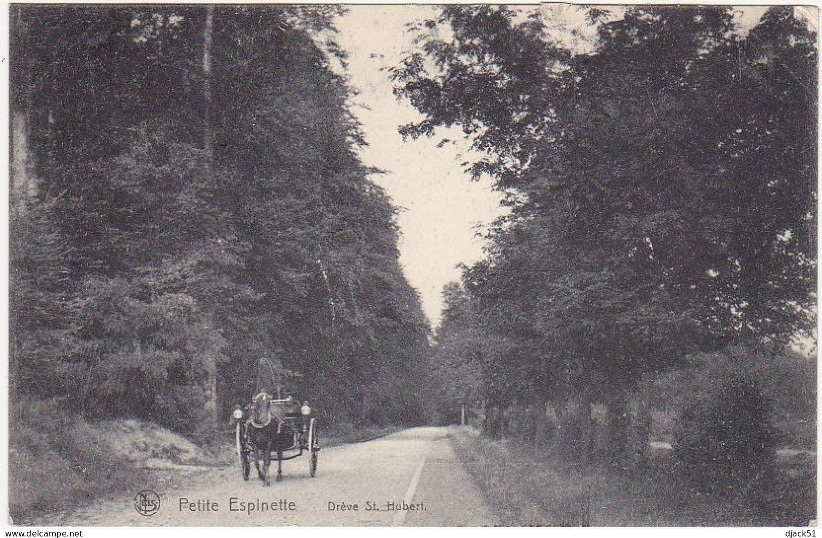 Belgique / Petite Espinette - Drève St-Hubert (Attelage) - 1910 - Ukkel - Uccle