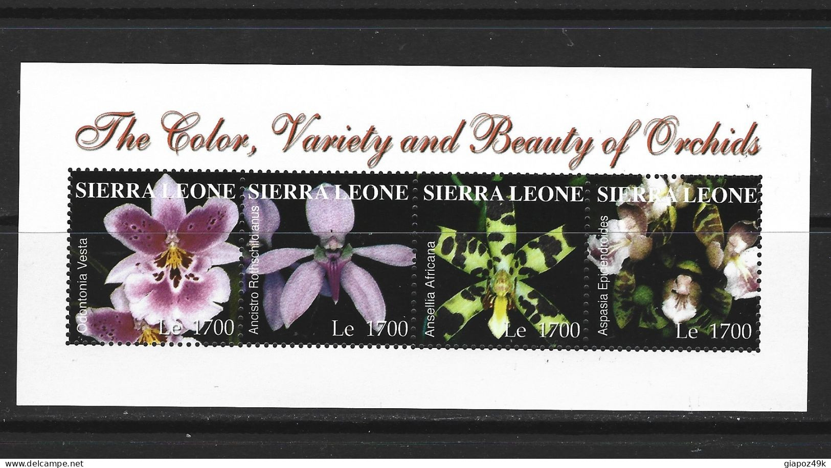 ● SIERRA LEONE 2004 ֍ The COLOR, Variety And Beauty Of ORCHIDS ֍ Natura ● BF ** ● Lotto N. XX ● - Sierra Leone (1961-...)