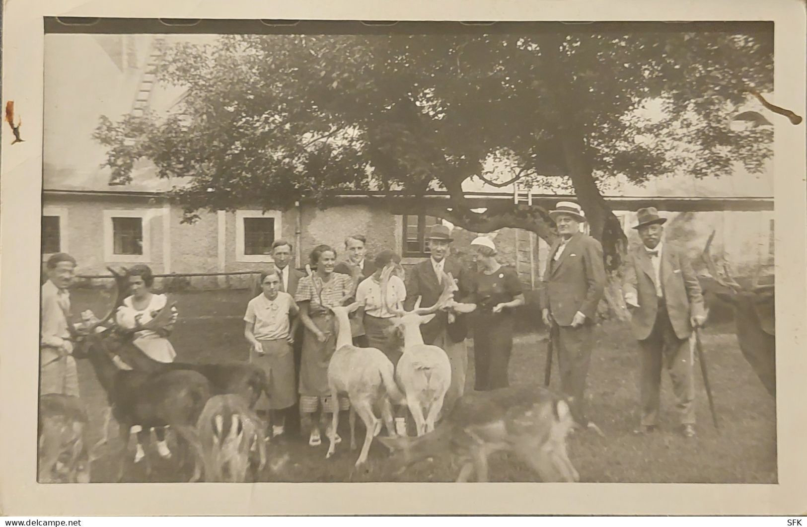 1934 Real Photo In ZOO With Animals Incl. Elefant  I- VF 556 - Elephants