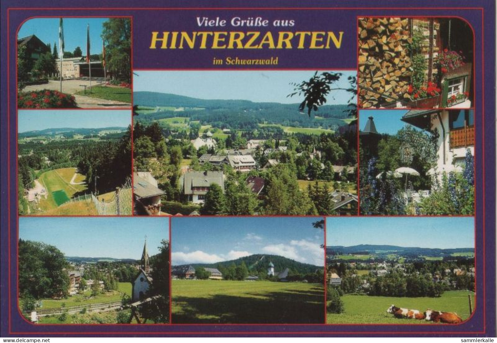 119739 - Hinterzarten - 8 Bilder - Hinterzarten