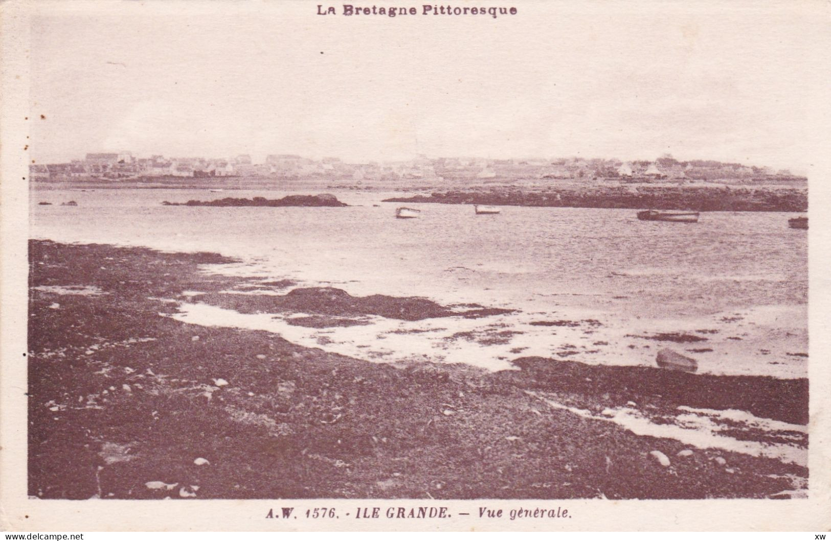 PLEUMEUR-BODOU -22- ILE GRANDE - Vue Générale - 16-03-24 - Pleumeur-Bodou