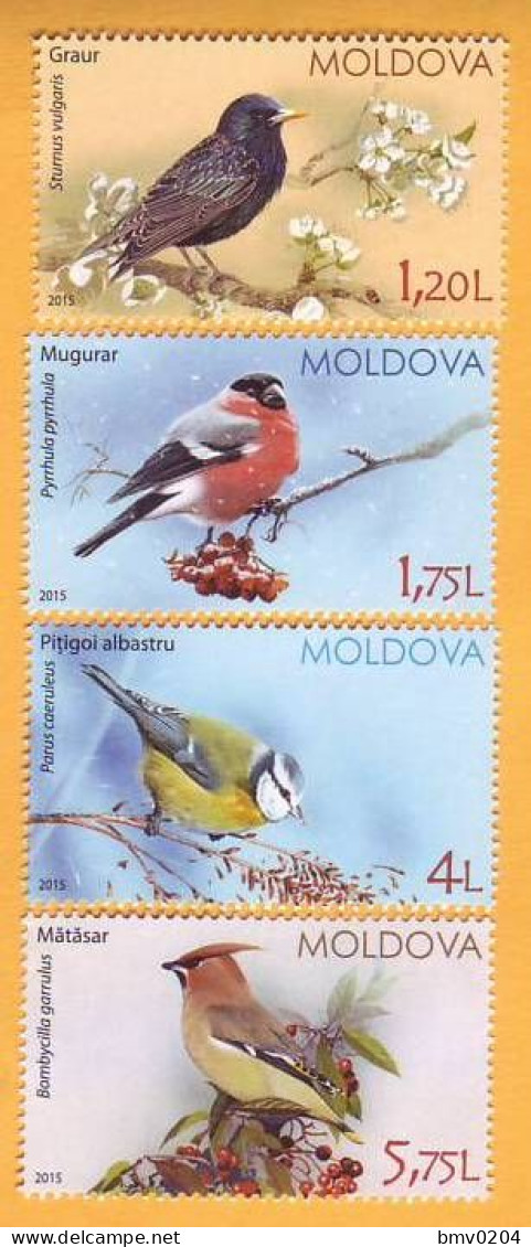 2015 Moldova Moldavie Moldau  Birds From Moldovan Regions 4v Mint - Specht- & Bartvögel