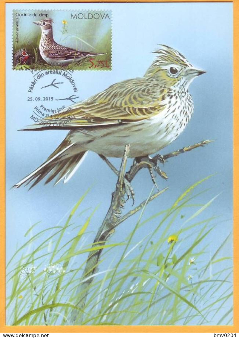 2015 Moldova Moldavie Moldau MAXICARD Birds From Moldovan Regions Block - Specht- & Bartvögel