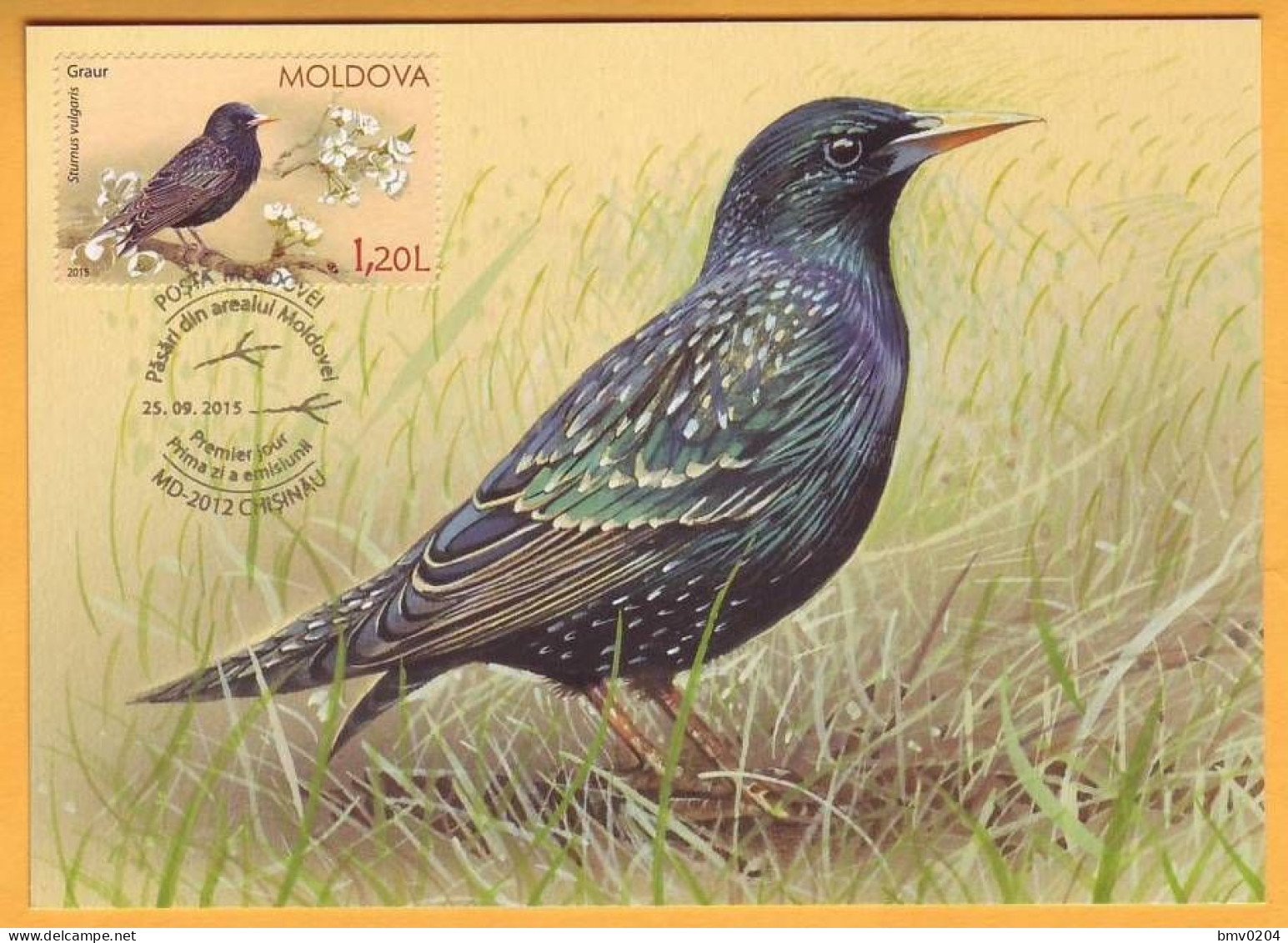 2015 Moldova Moldavie Moldau MAXICARD Birds From Moldovan Regions 1.20 - Piciformes (pájaros Carpinteros)