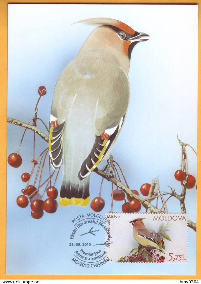2015 Moldova Moldavie Moldau MAXICARD Birds From Moldovan Regions 5,75 - Picchio & Uccelli Scalatori