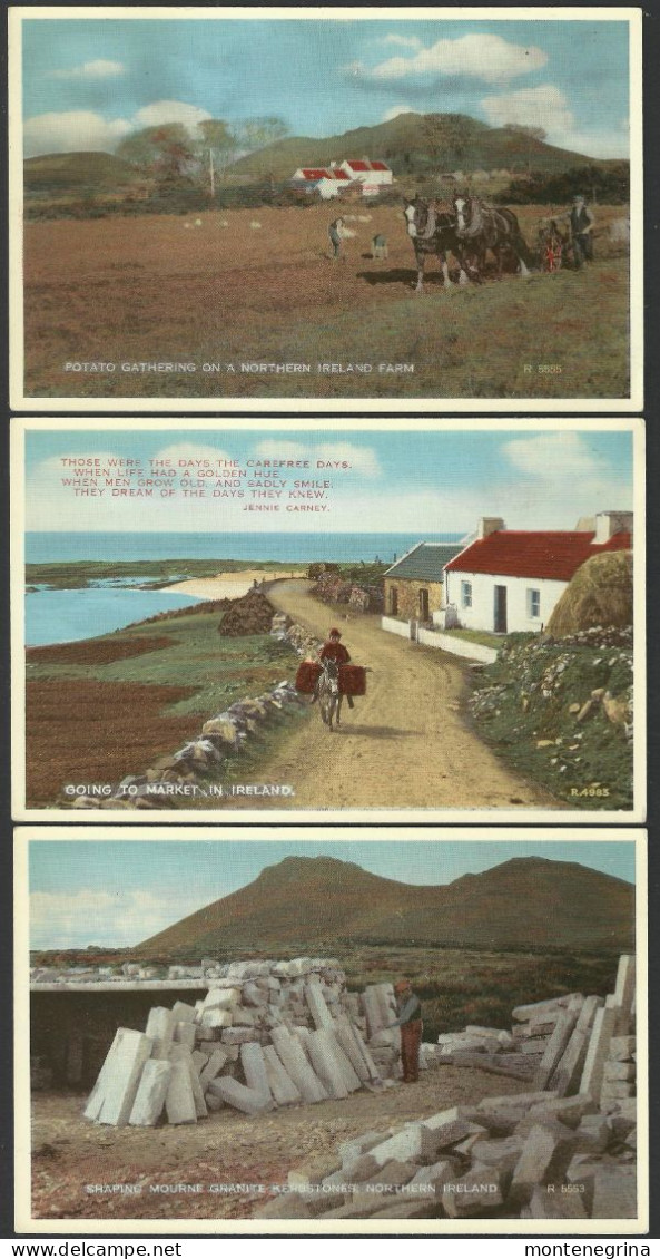 Northern Ireland  - Farmers - Ed. - Valentine & Sons - 3 Postcards (see Sales Conditions) 010023 - Other & Unclassified