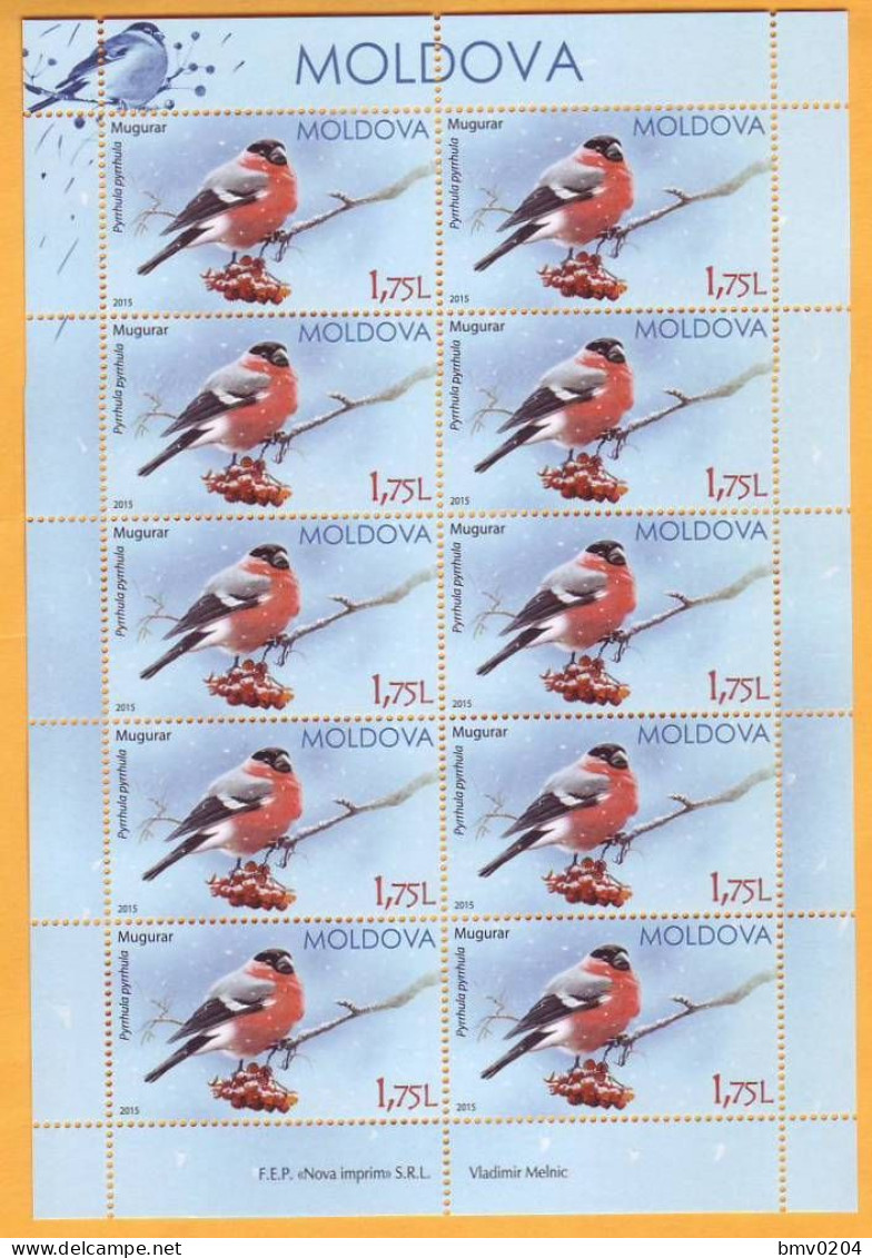 2015 Moldova Moldavie Moldau Birds From Moldovan Regions Sheets Of 10 Stamps Mint 1,75 - Specht- & Bartvögel