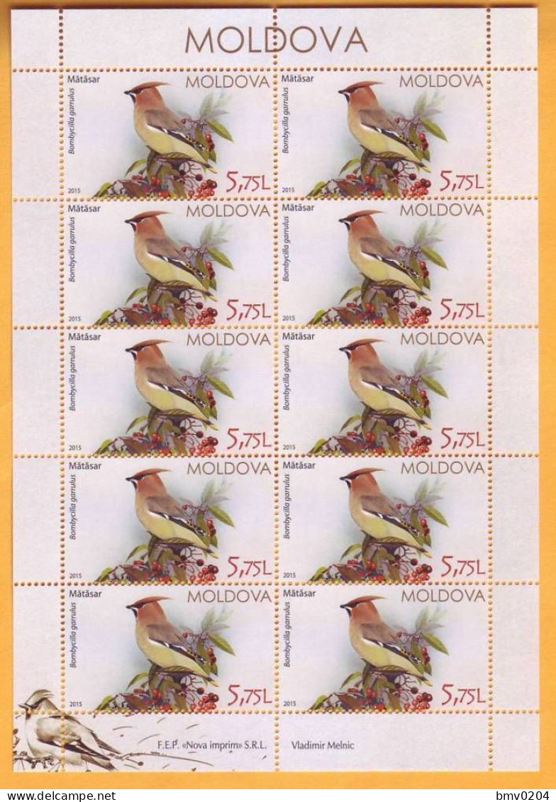 2015 Moldova Moldavie Moldau Birds From Moldovan Regions Sheets Of 10 Stamps Mint 5,75 - Spechten En Klimvogels