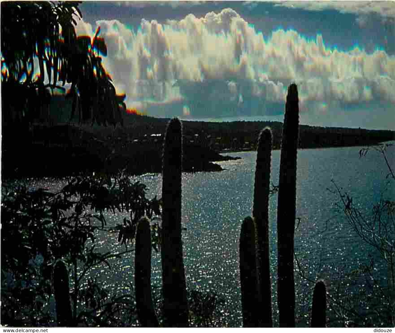 Antilles - Effet De Lune - CPM - Voir Scans Recto-Verso - Andere & Zonder Classificatie