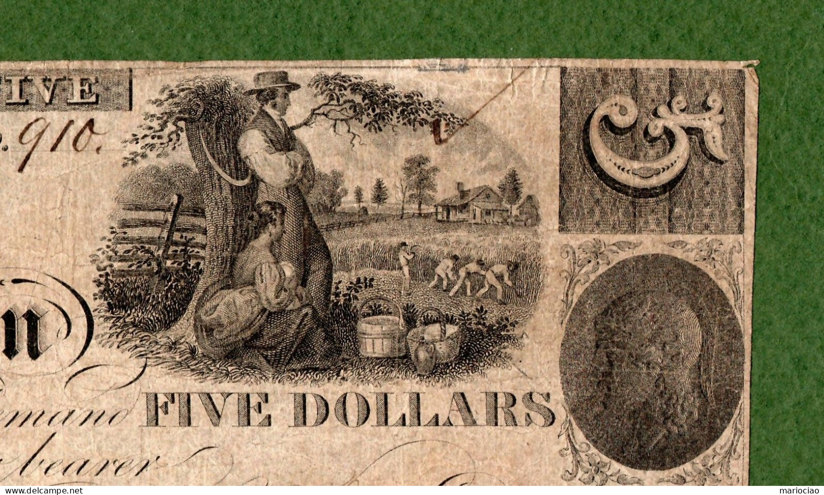 USA Note THE BANK OF LEWISTOWN, PA 1844 $5 N. 910 - Slaves In Plantation VERY VERY RARE - Autres & Non Classés
