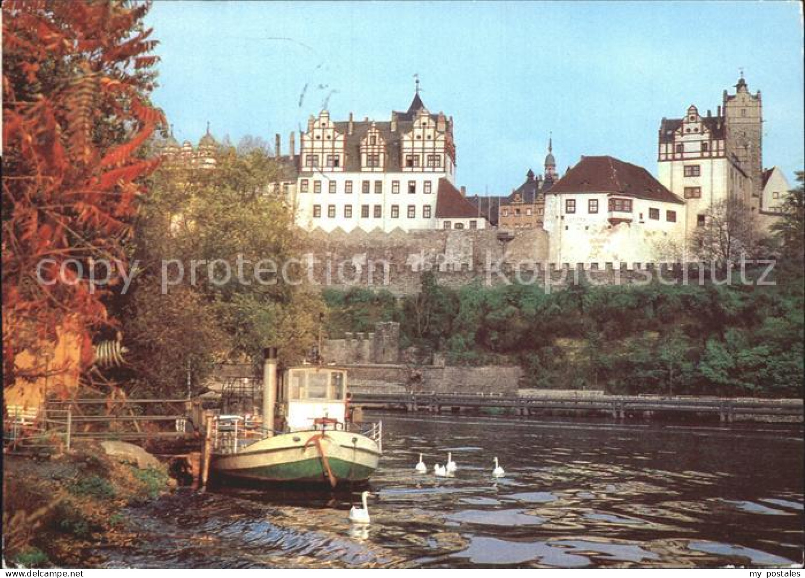 72247112 Bernburg Saale Schloss Bootsanleger Schwaene Bernburg - Bernburg (Saale)